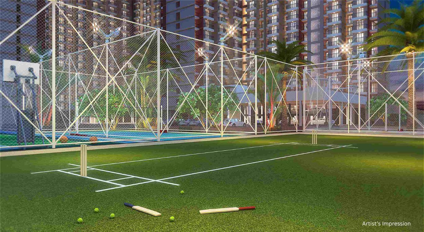 Amenity - Cricket Turf